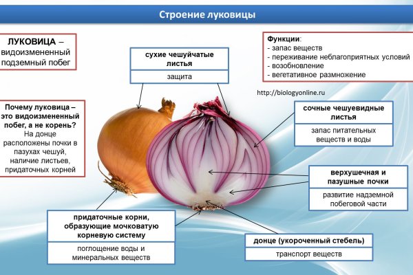 Кракен сайт закладок