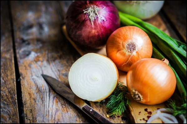 Kraken onion link