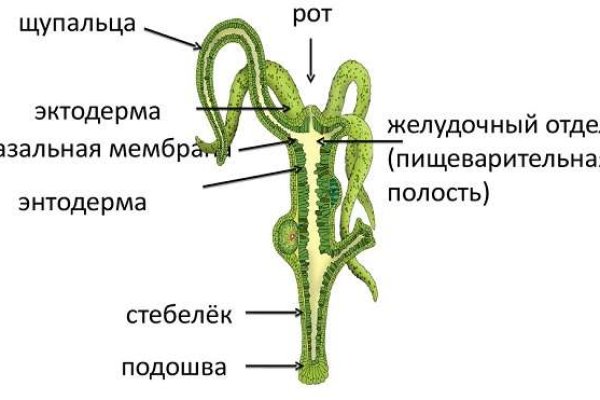 Зеркало вход кракен