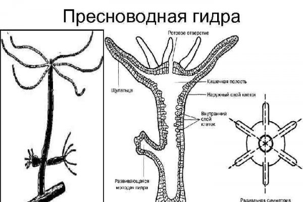 Наркосайт кракен