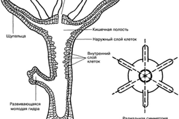 Удалился аккаунт кракен